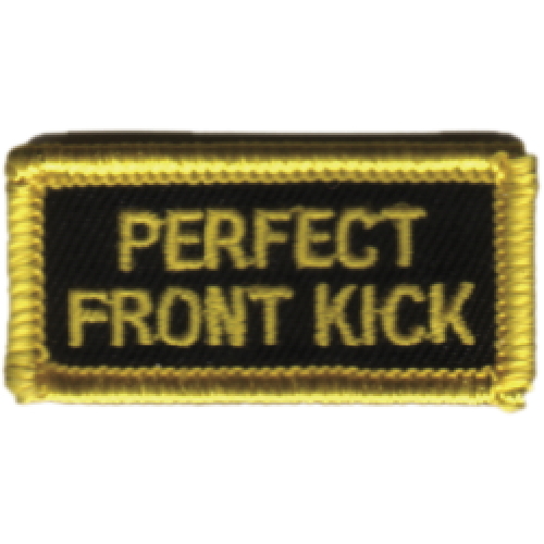 Perfect Front Kick -0