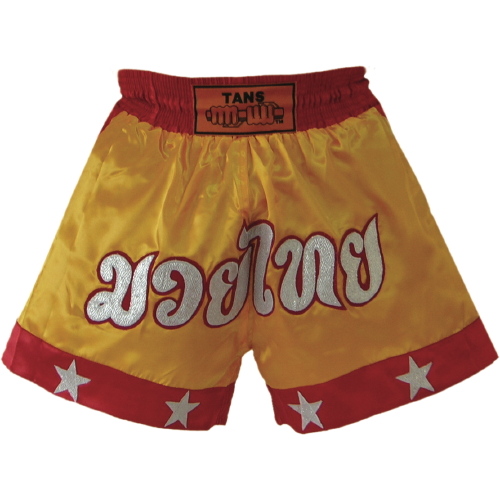 Thai Shorts Satin-9