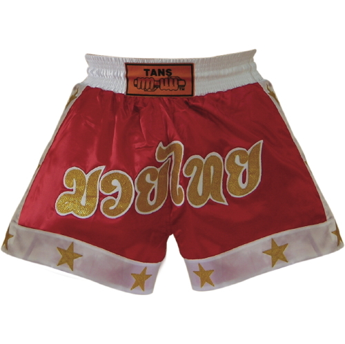 Thai Shorts Satin-11