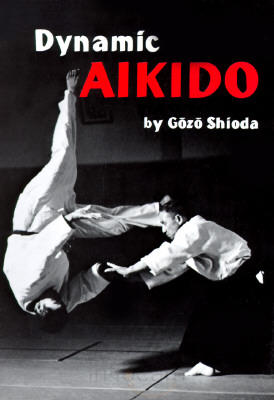Dynamic Aikido-0